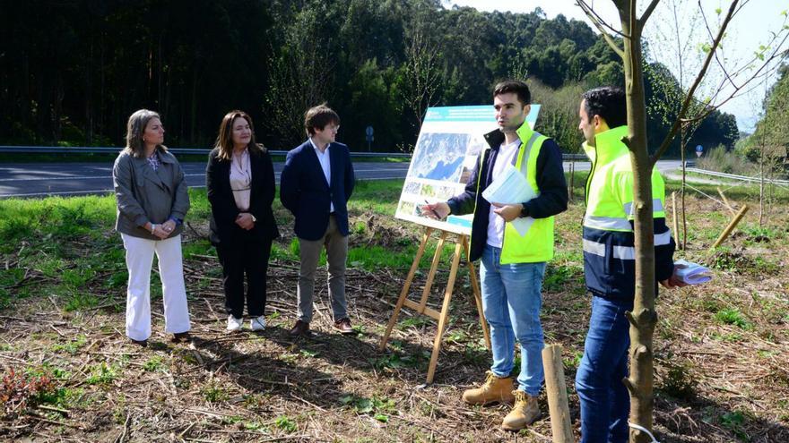 La Xunta estima que la reforestación de la autovía ahorrará 500.000 euros en desbroces