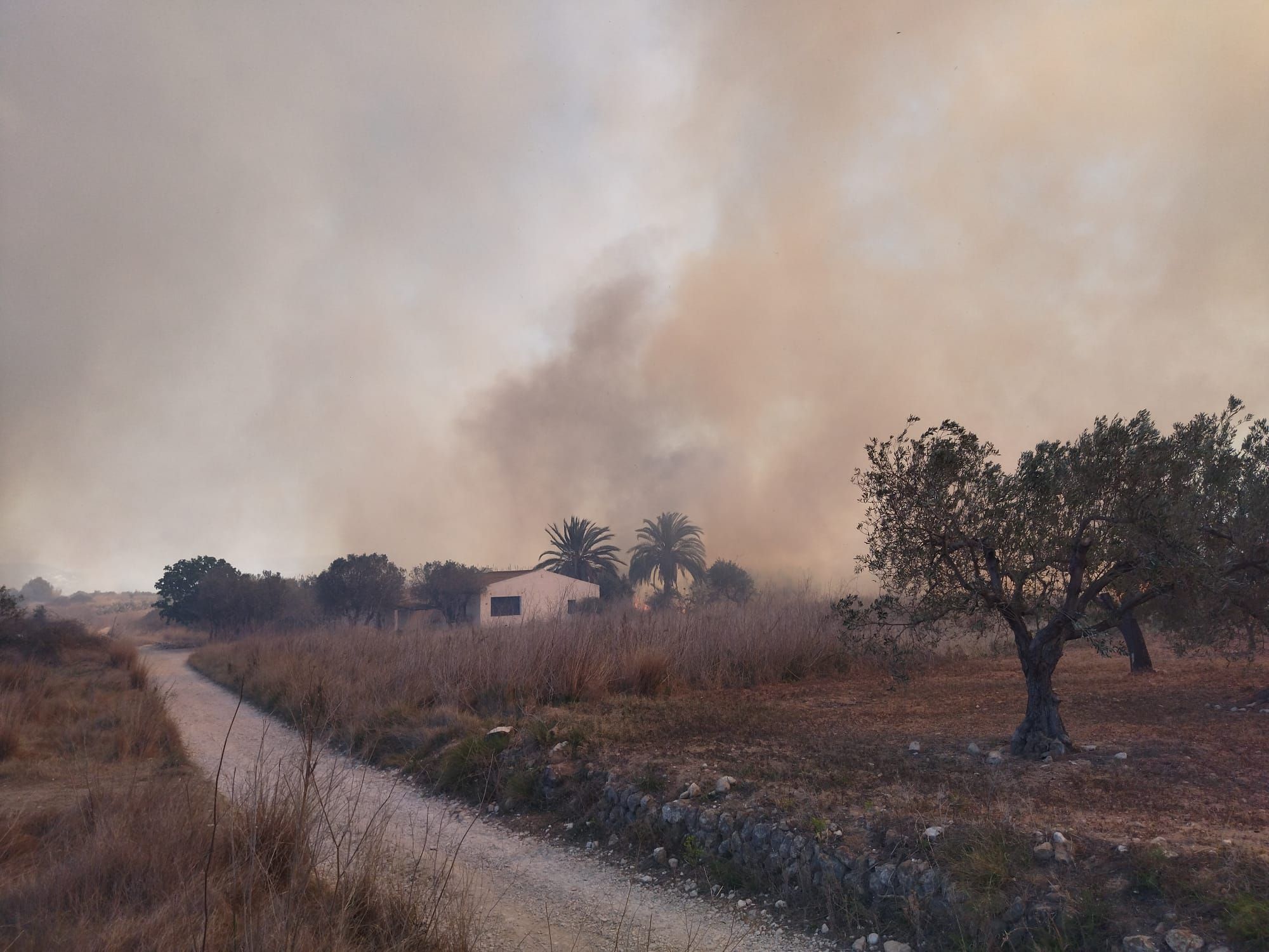 Declarado un incendio en el barranco de la Hiedra en Xàbia, cerca del Montgó