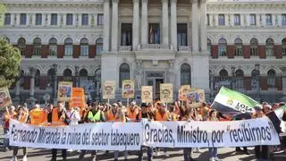 El sector tabaquero extremeño se moviliza en Madrid