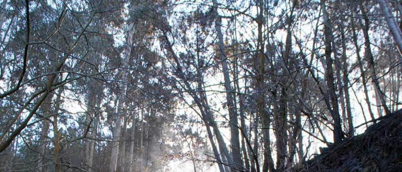 Arriba, estado en el que ha quedado la senda que discurre por la costa coañesa. Sobre estas líneas, un trabajador forestal, el sábado en el incendio de Villayón. Abajo, imagen de este incendio.