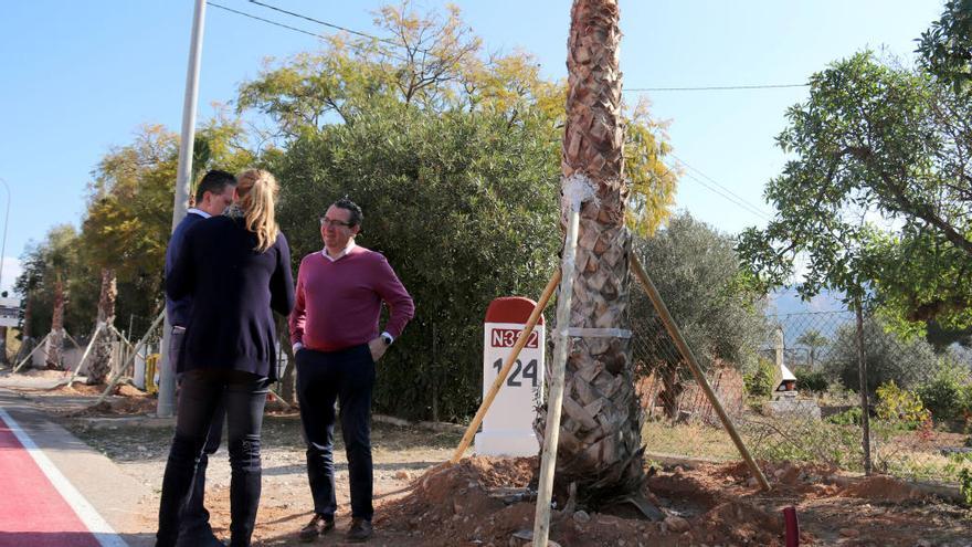 Benidorm planta 62 palmeras en los márgenes de la antigua carretera Nacional 332