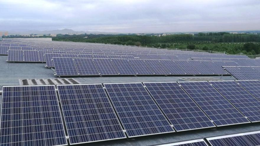 Frit Ravich instal·la la planta fotovoltaica per autoconsum més gran de la demarcació