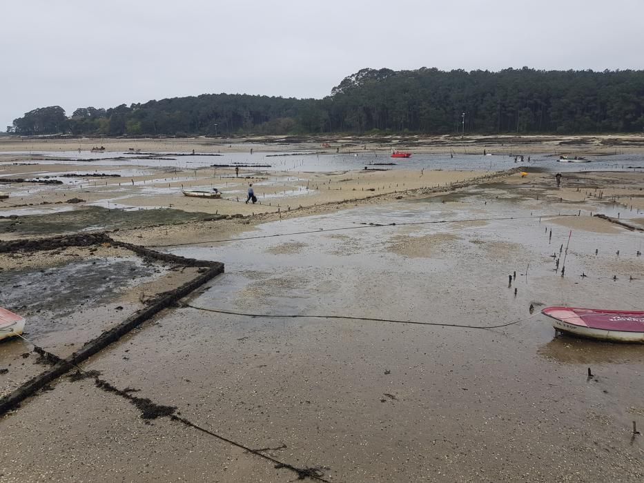 "Mareas vivas" en Galicia.