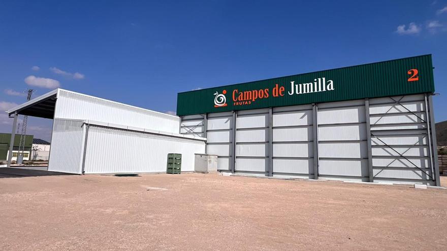 Campos de Jumilla afianza su crecimiento con un nuevo centro logístico para impulsar la pera Ercolini con DOP