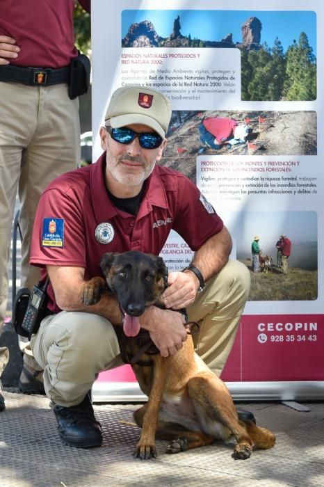 Presentación de la unidad canina para detectar ...