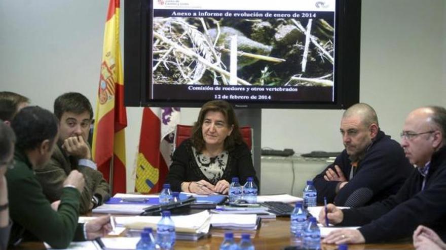 María Jesús Pascual preside el Comité Científico de Lucha contra las Plagas Agrícolas.