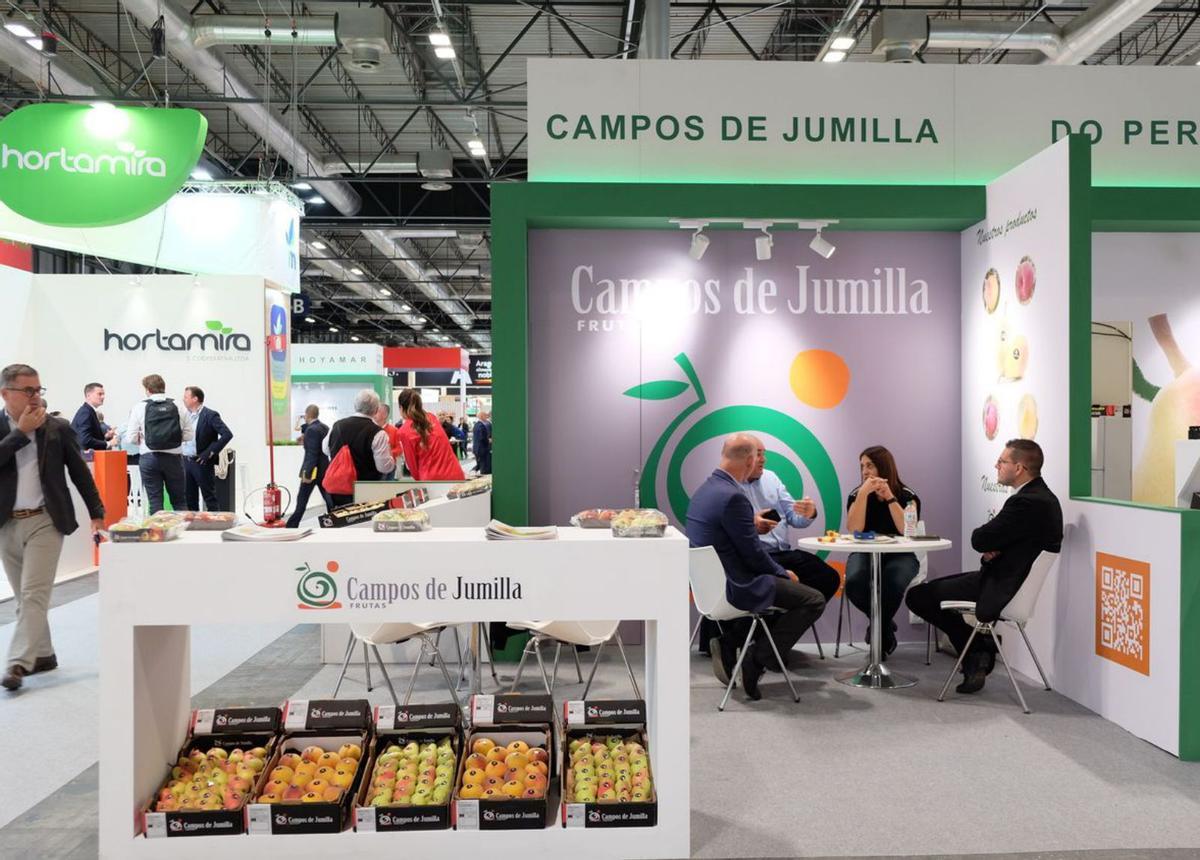 Campos de Jumilla.  | CRISTINA HEREDIA