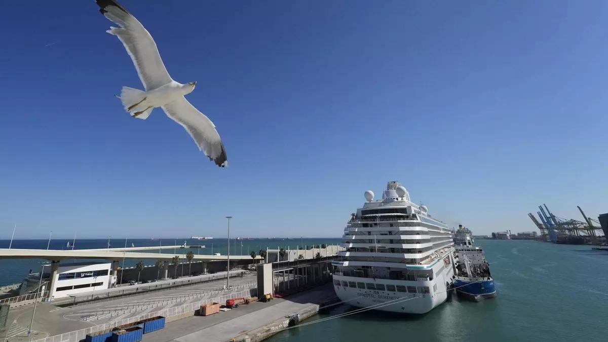 Cruceros en el muelle Adossat del Port de Barcelona.