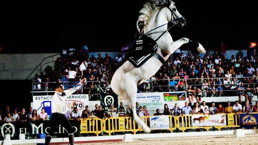 ¿Conoces la Feria de Ganado de Dolores? Un encuentro único en España