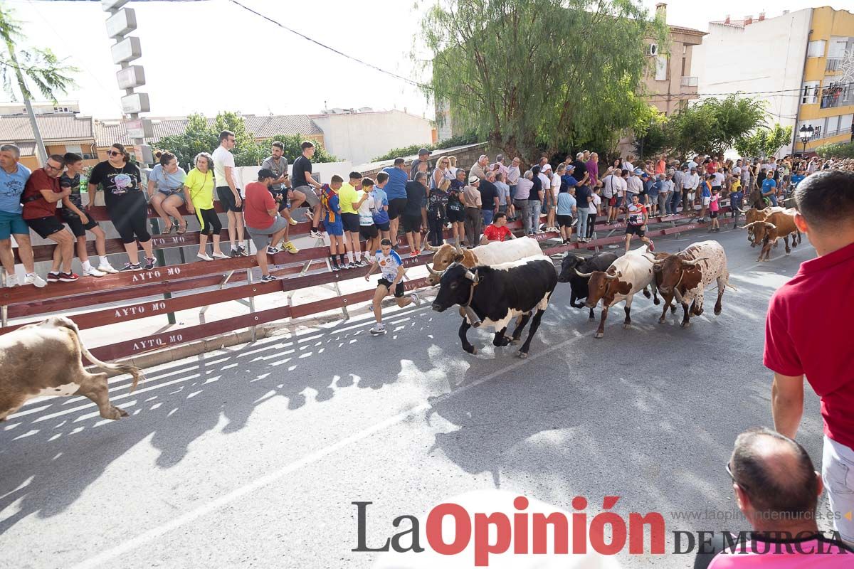 Séptimo encierro de las Fiestas de Moratalla