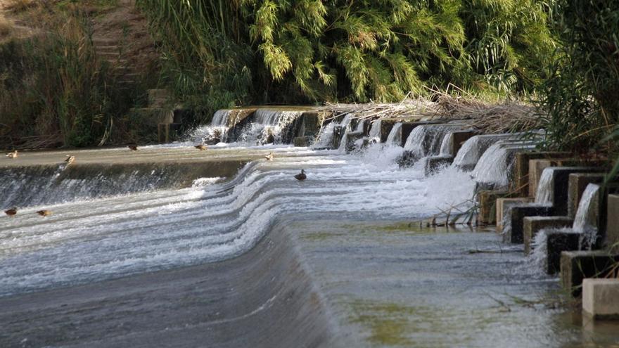 La CHS buscará los puntos débiles del río Segura desde La Contraparada