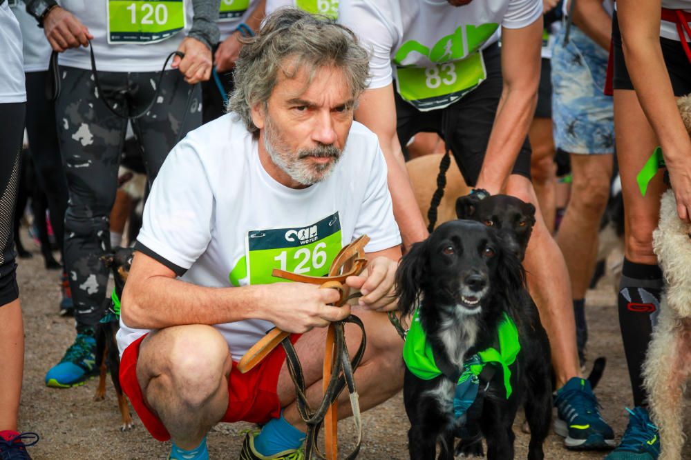 Can We Run Mallorca: So war das Hunderennen