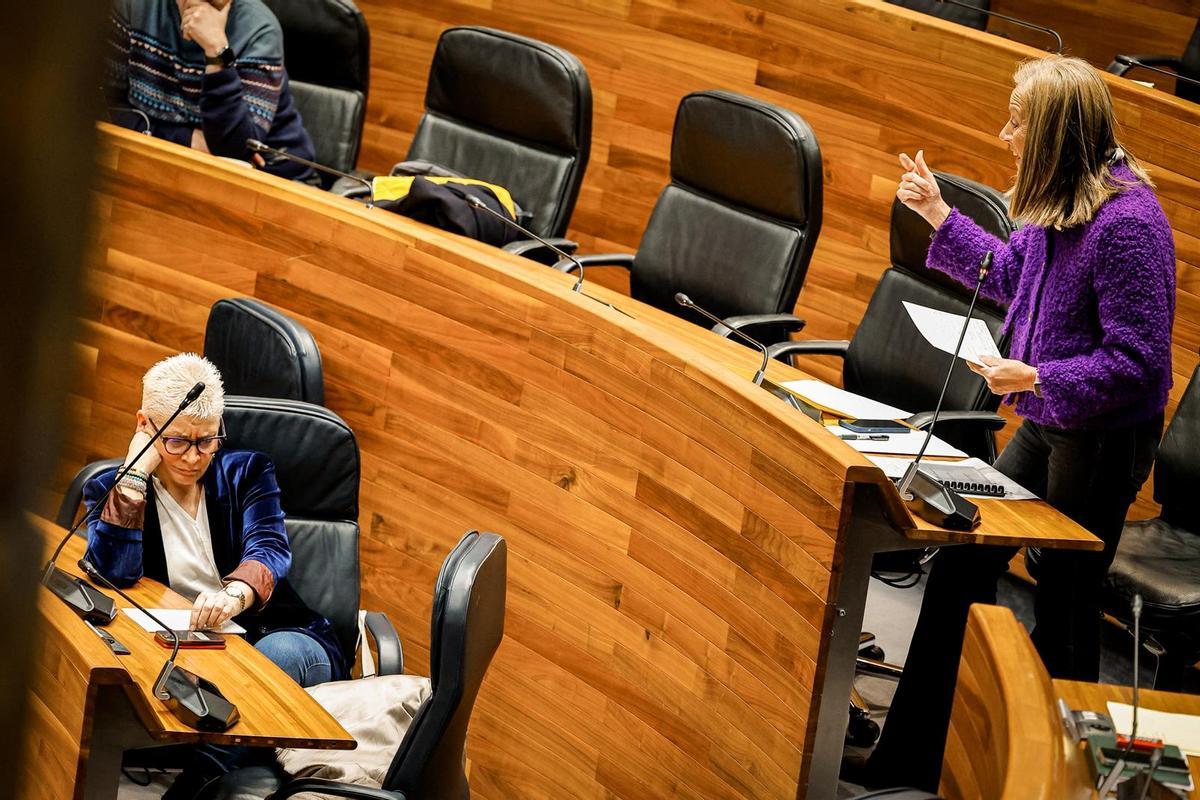 La diputada del PP Pilar Fernández Pardo se dirige esta mañana a la consejera de Salud, Conchita Saavedra.