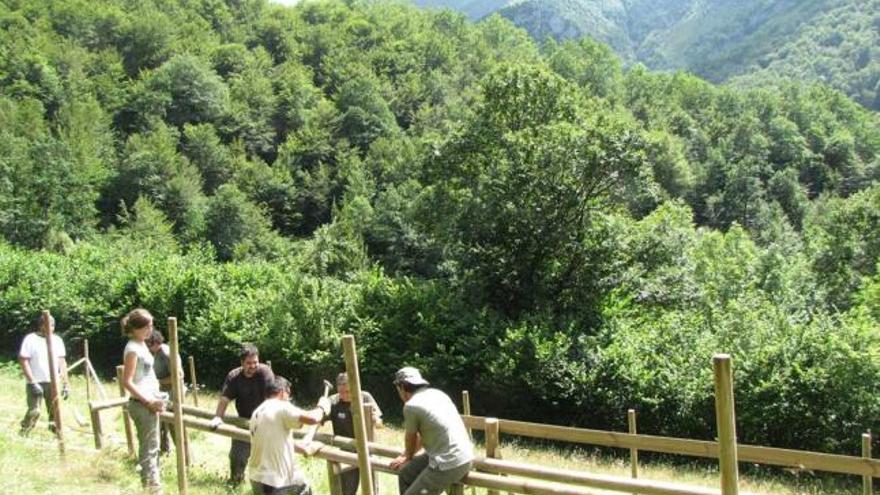 Miembros de FAPAS, construyendo una estación de polinización en el valle de los Arrudos, en Caso, en 2010.