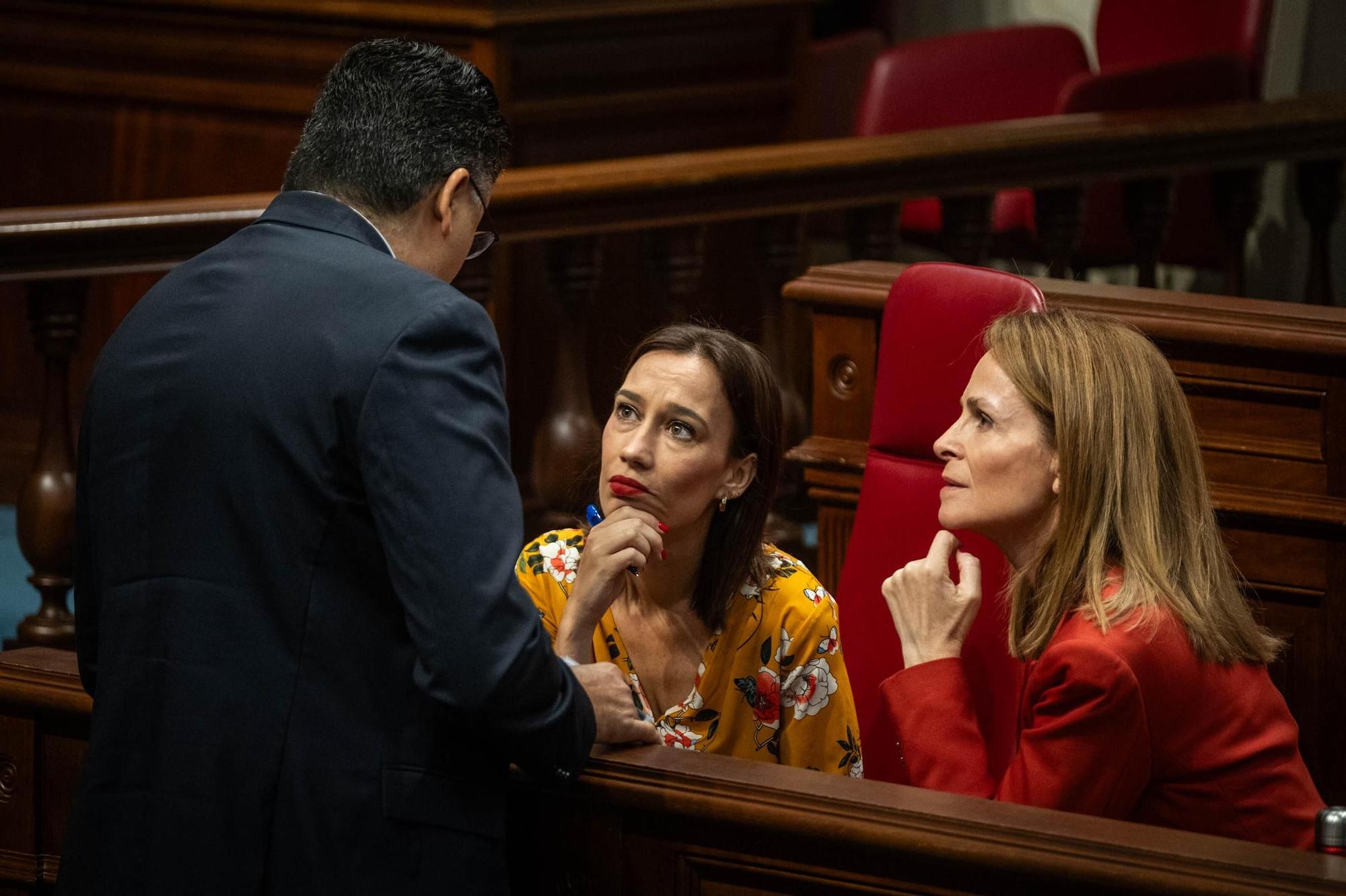 Pleno del Parlamento de Canarias
