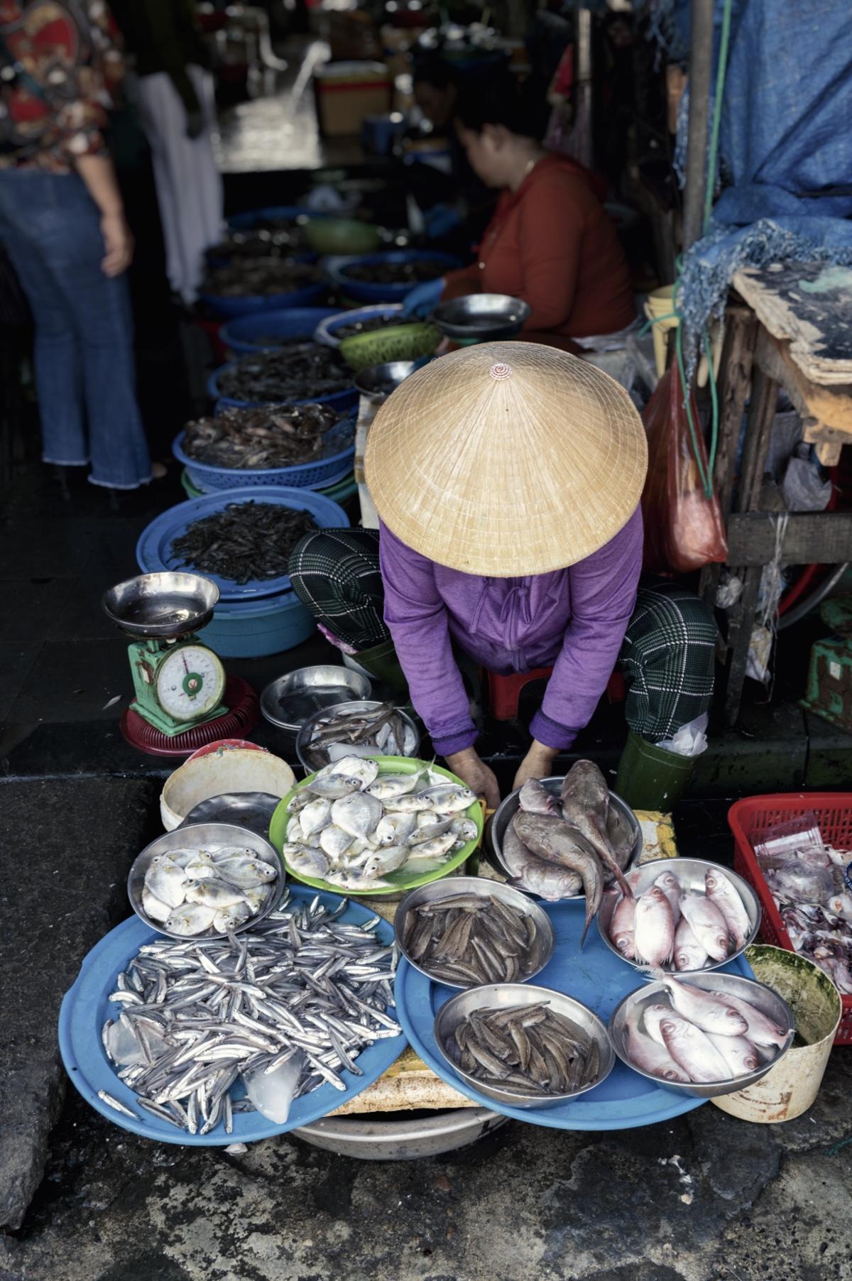 Mercado de pescado en Hoi An