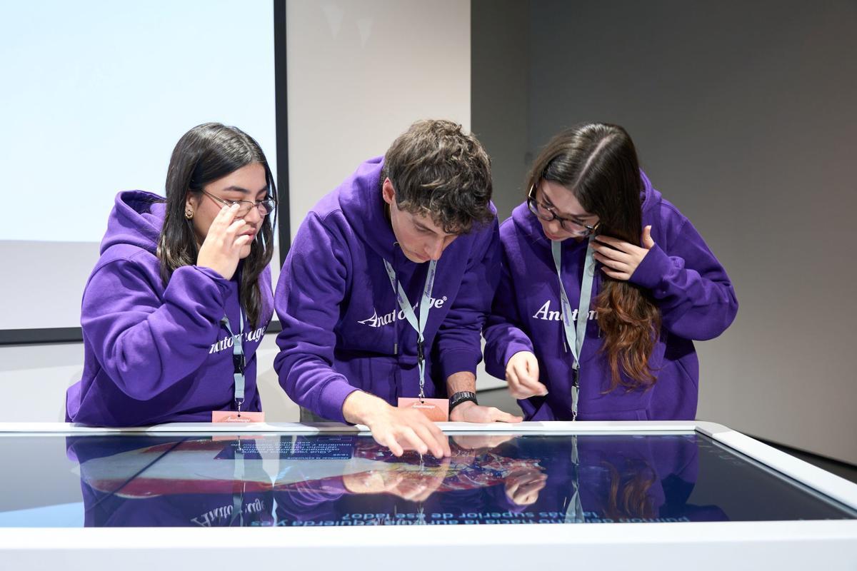 En esta primera convocatoria participaron 16 equipos formados por estudiantes de Medicina, Biomedicina, Enfermería y Fisioterapia de la Universidad San Jorge