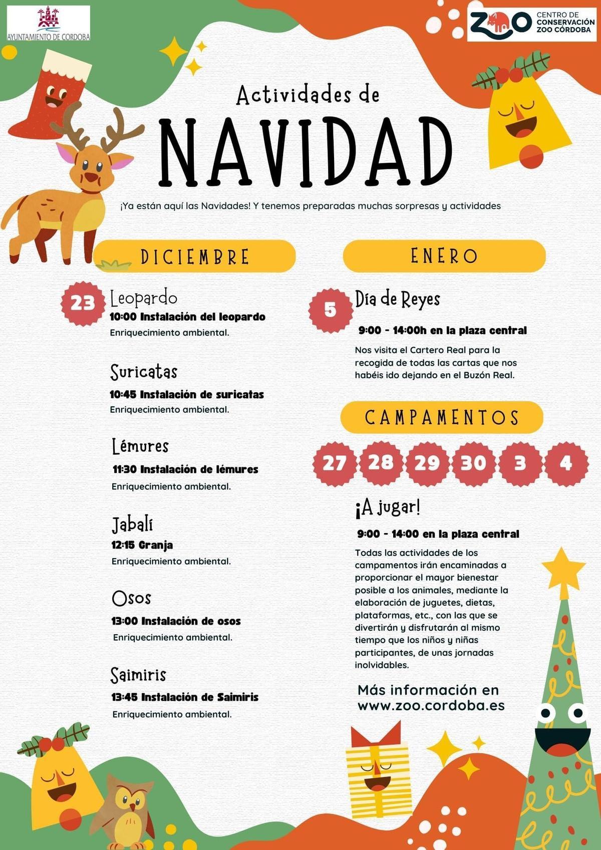 Actividades del campamento navideño.