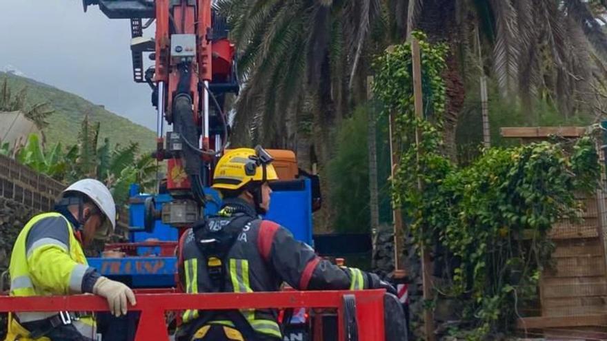 Rescatan a una pardela tras quedar atrapada en una línea de alta tensión en Arucas