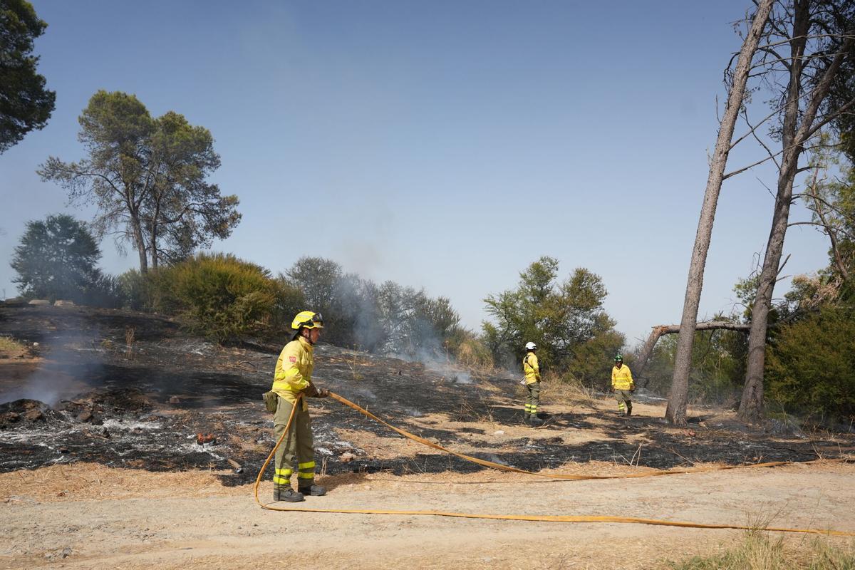 Imagen del incendio en la zona del Cerro del Carambolo en Camas (Sevilla).