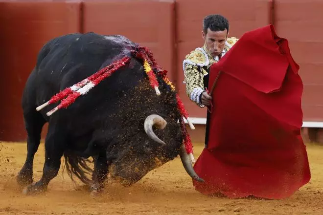 Las mejores imágenes del duodécimo festejo de abono en La Maestranza