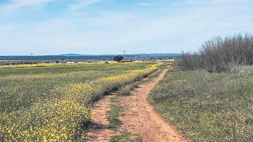 Capellanías tendrá conexión peatonal con Cáceres tras 53 años desde su aprobación