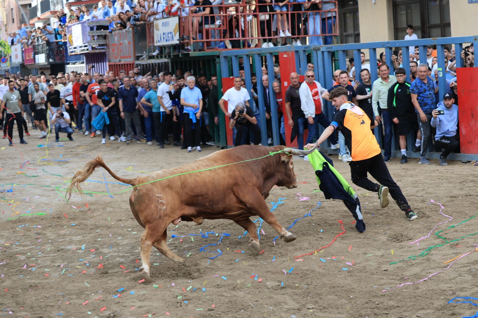Fotos de la tarde taurina del jueves de las fiestas de Sant Pasqual en Vila-real