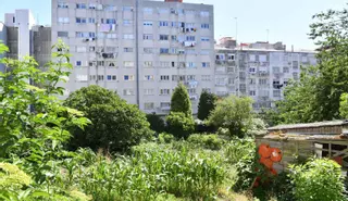 Los detalles del acuerdo entre el Concello y los promotores de un millar de pisos en el parque de Oza: obligaciones y plazos