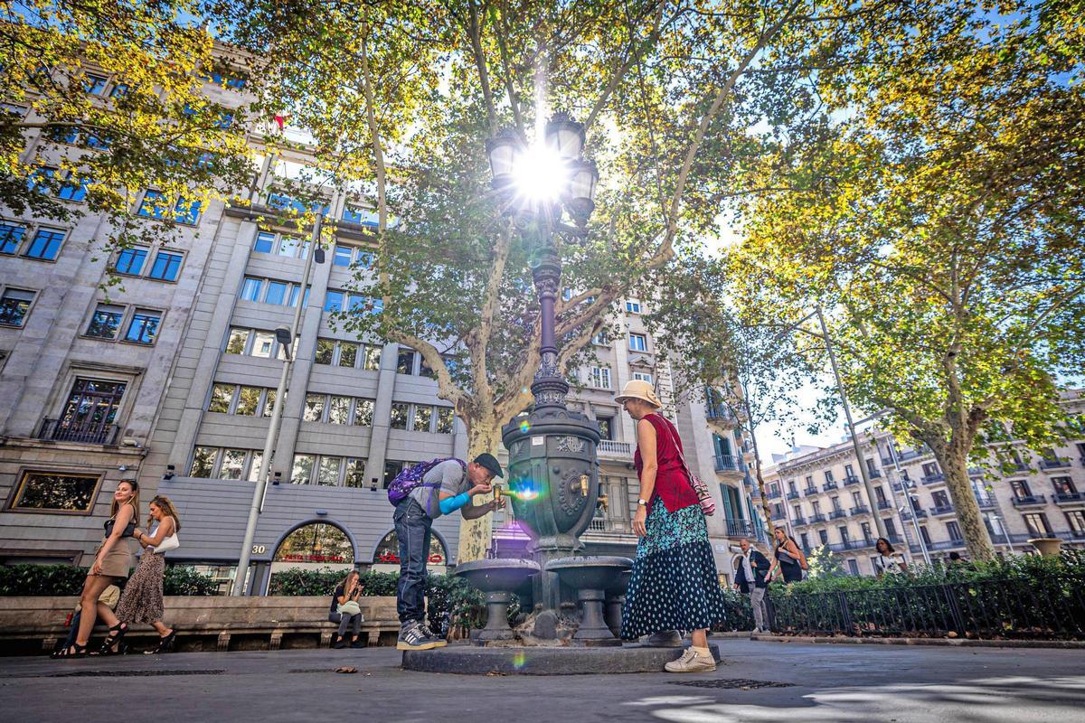 La fuente de los jardines Reina Victoria Eugenia de Barcelona La fuente de los jardines Reina Victoria Eugenia de Barcelona
