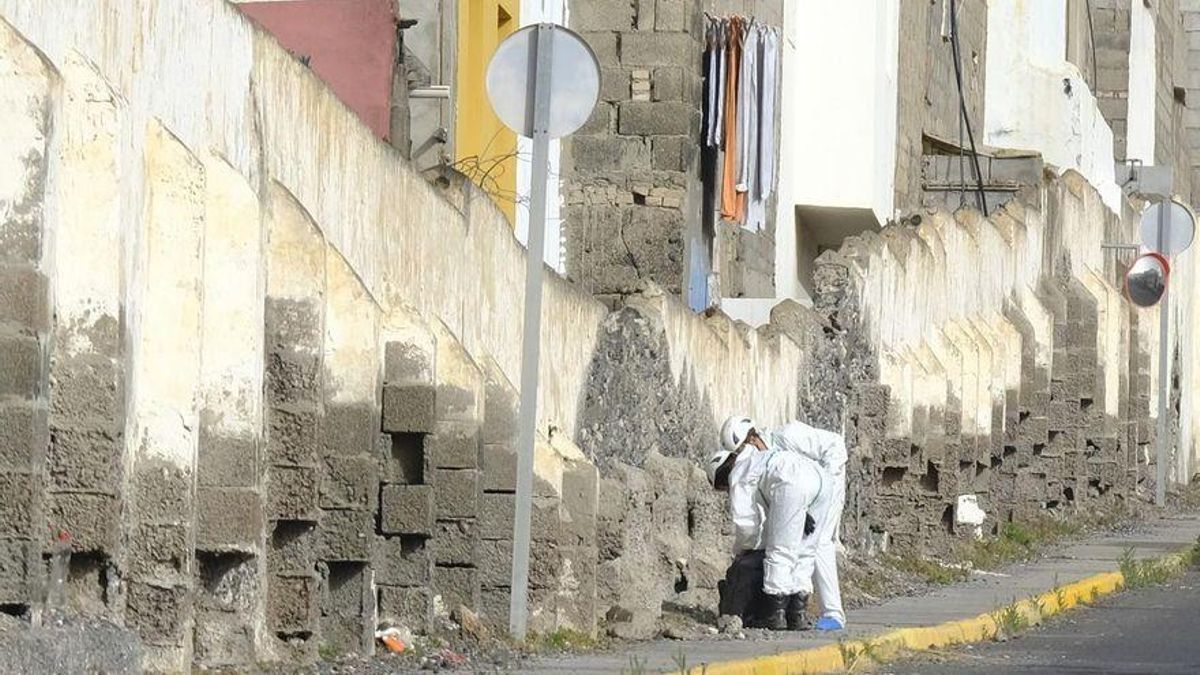 Els serveis d'emergència, durant la recerca.