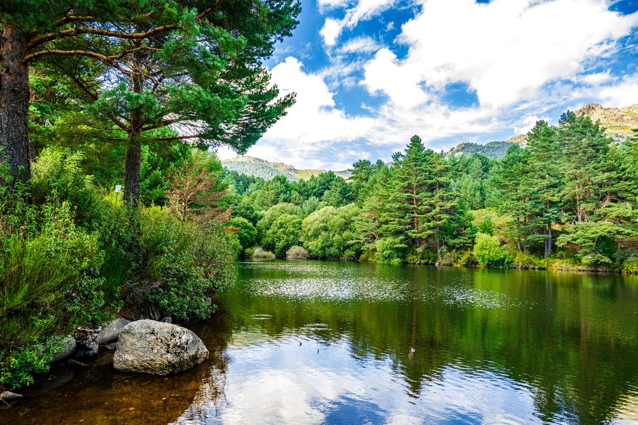 La Sierra de Guadarrama es ideal para encontrar tranquilidad cerca de la capital.