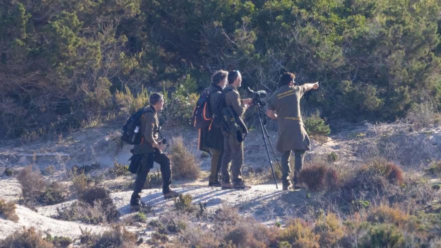 Un grupo de AMA hace el recuento anual de aves en el Parque Natural de Formentera