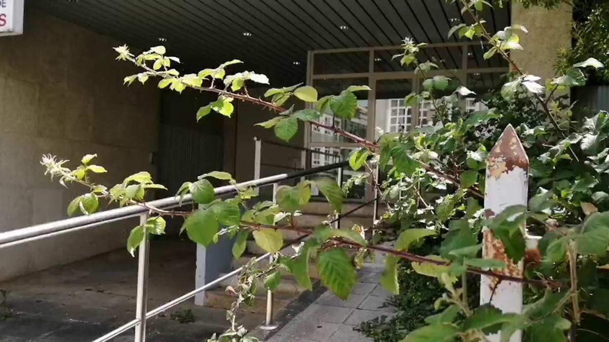 Numerosos solares del casco urbano de Lalín se encuentran invadidos por la maleza