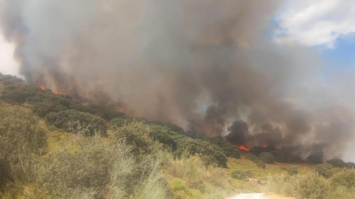 Un incendio forestal en Luque moviliza un avión, dos helicópteros y cinco grupos de bomberos