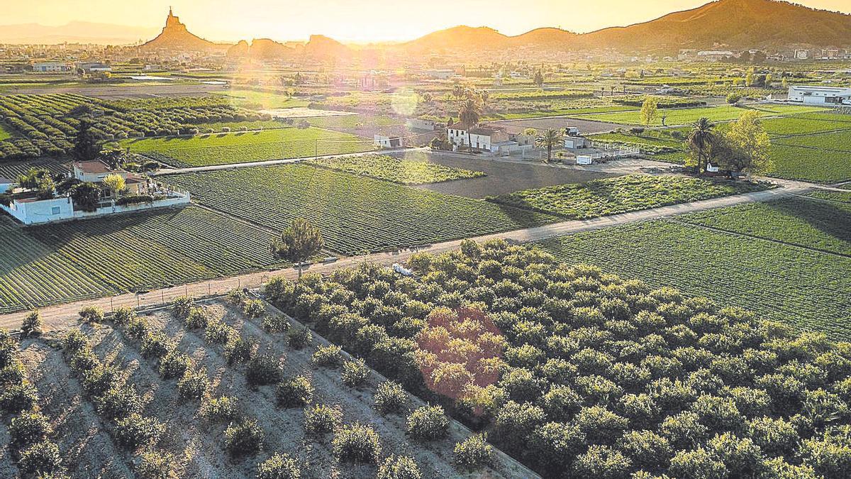 La ciudad mira a su huerta y la ve como un elemento turístico a proyectar.