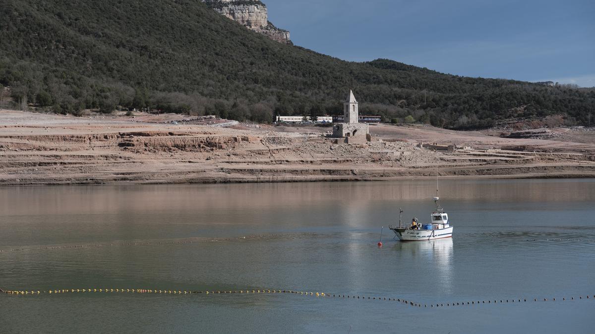 Empieza la retirada de peces del pantano de Sau