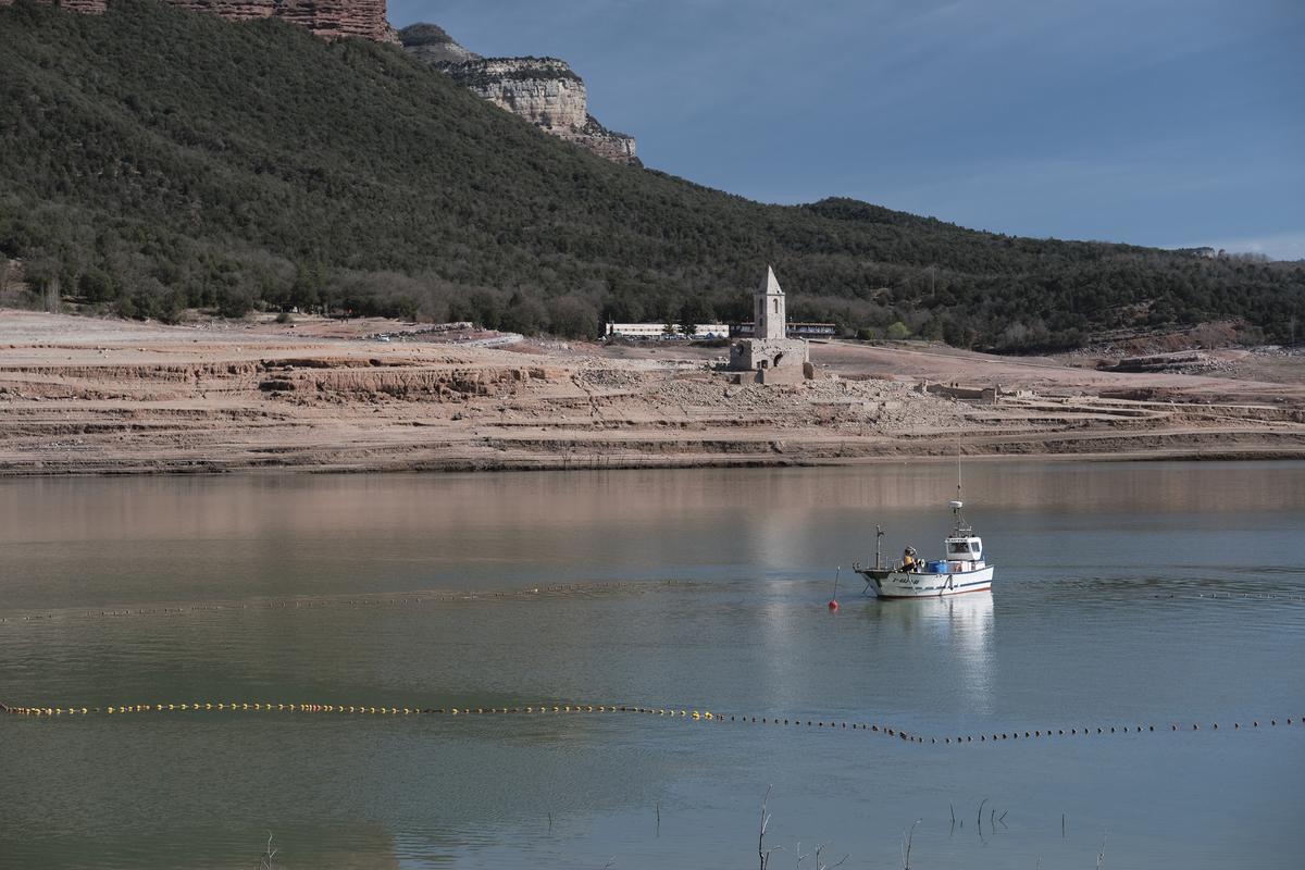 Empieza la retirada de peces del pantano de Sau