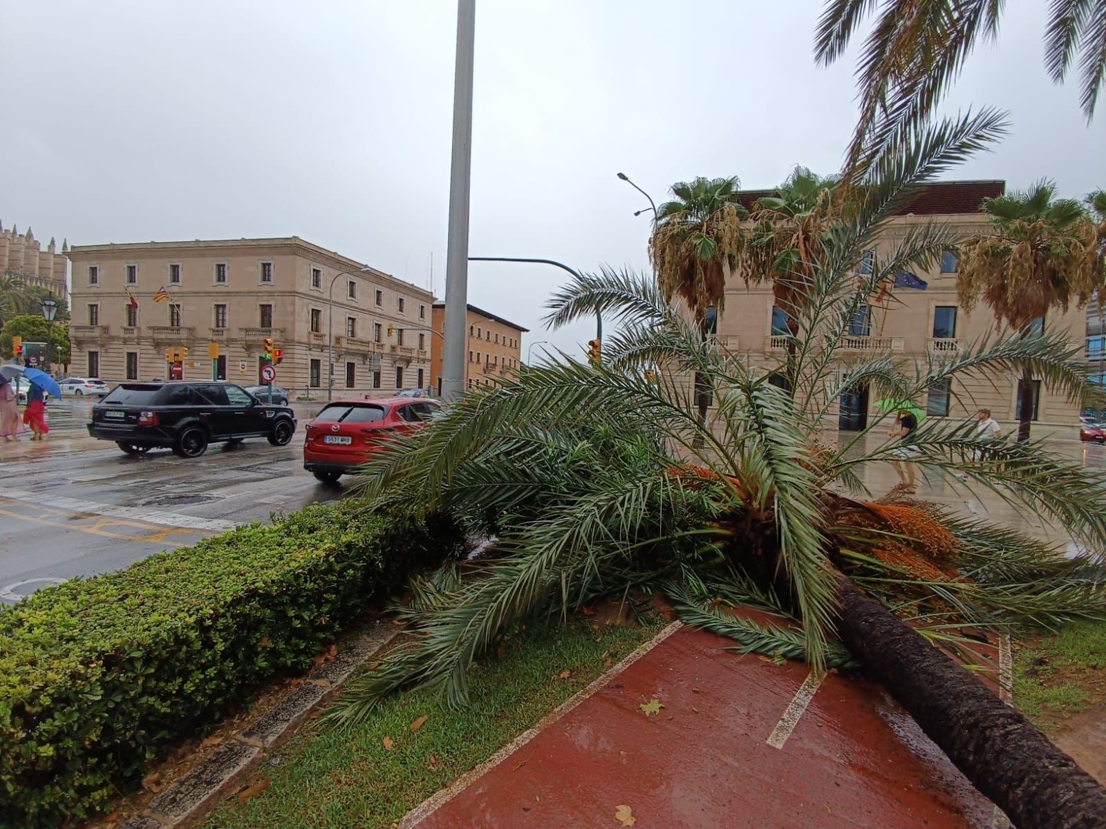 FOTOS │Una intensa tormenta barre Mallorca