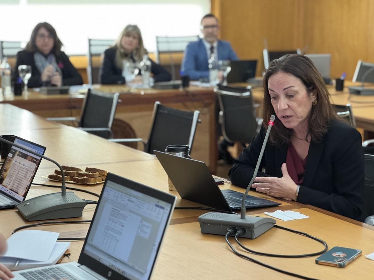 La vicerrectora de Igualdad, Inclusión y Responsabilidad Social, Carmen Vives Cases, ha sido la encargada de presentar las candidaturas