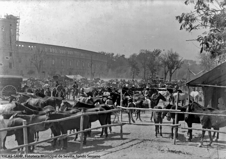 Ganado en el Prado de San Sebastián. 1922