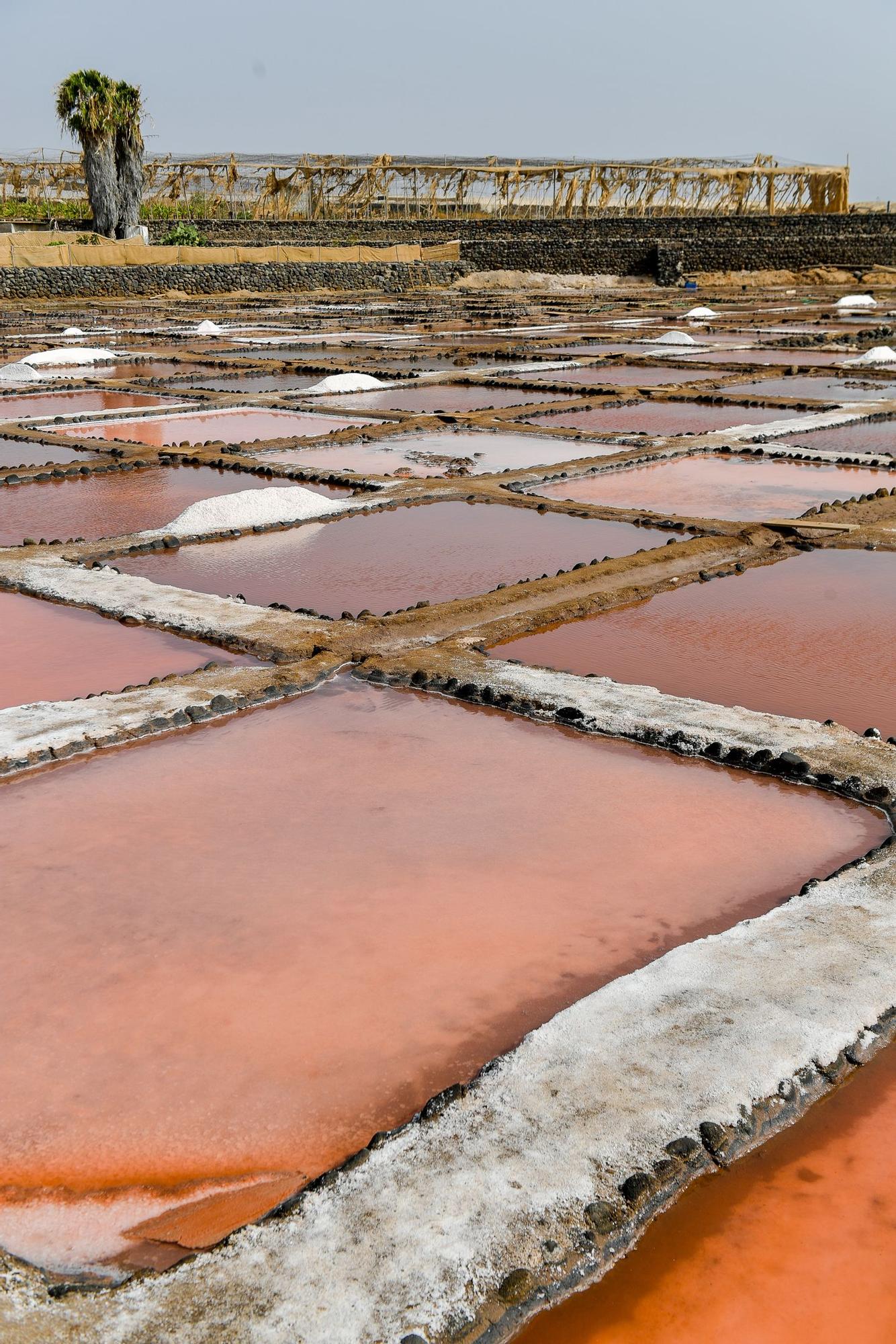 Salinas de Vargas