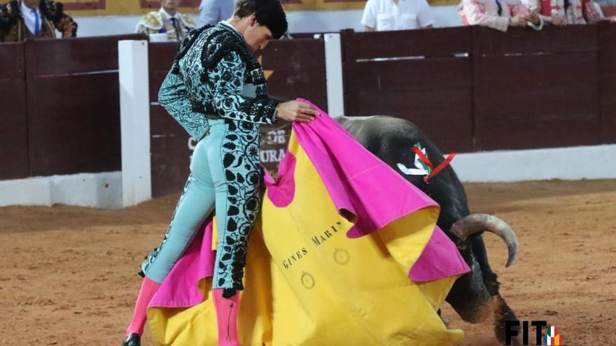 Triunfal regreso de los toros a Olivenza