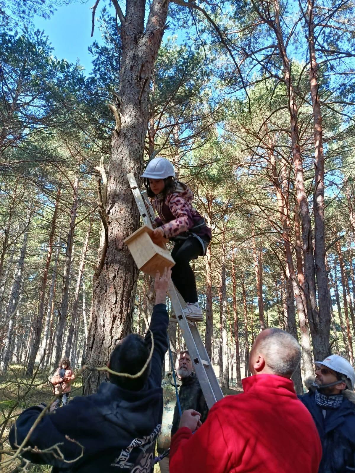 Instalación de una caja nido.