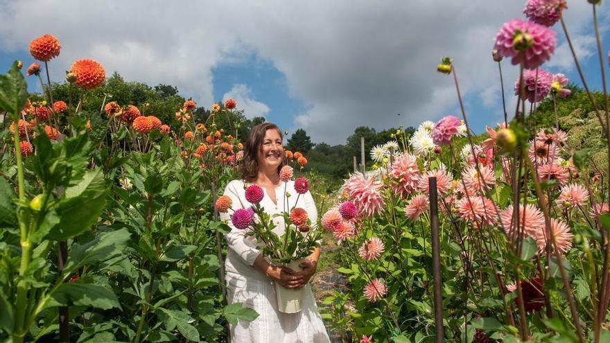 El rincón más inglés de A Coruña es una floristería al aire libre y lo cultiva una vecina de A Zapateira: "A veces empiezo a las diez y salgo a las once de la noche"