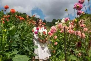 El rincón más inglés de A Coruña es una floristería al aire libre y lo cultiva una vecina de A Zapateira: "A veces empiezo a las diez y salgo a las once de la noche"