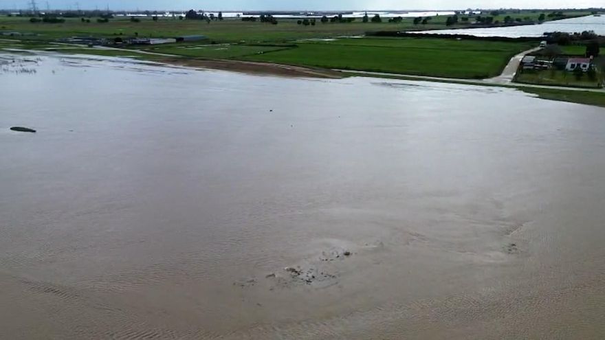 Así están las marismas de Doñana tras las últimas lluvias