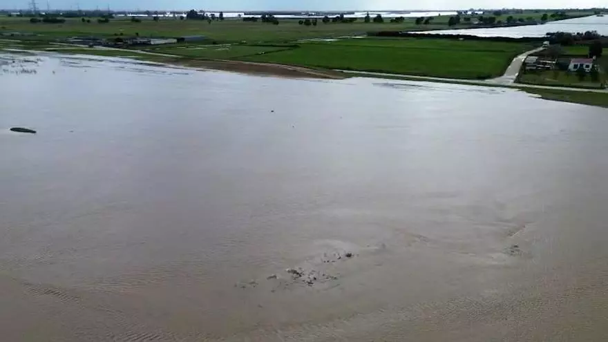 Arroyo El partido en el entorno de Doñana