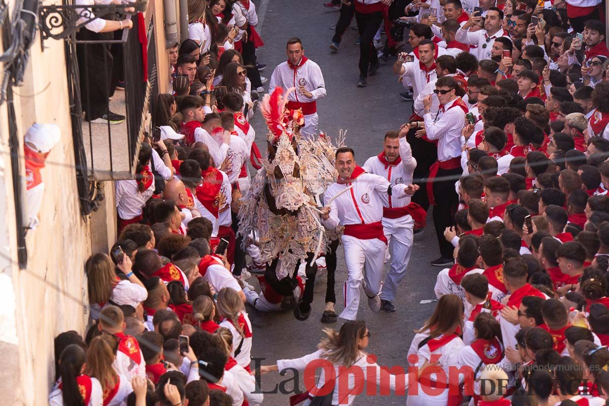 Caballos del Vino en la cuesta de la Simona