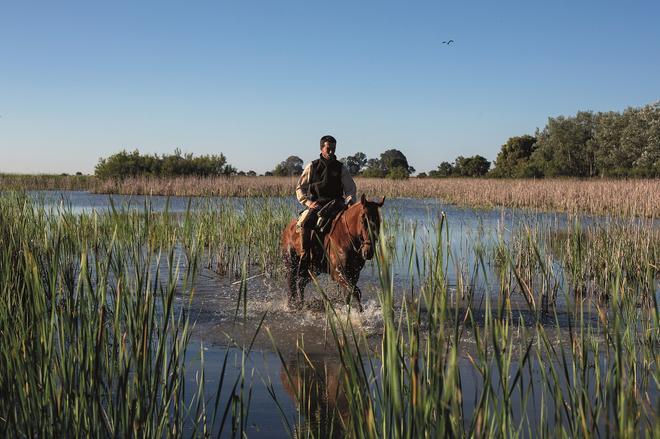 Álvaro Robles, guarda del parque, a caballo.