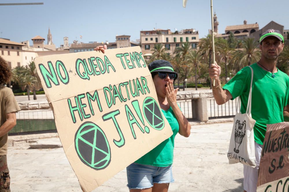 Corte de carretera en Palma contra el cambio climático